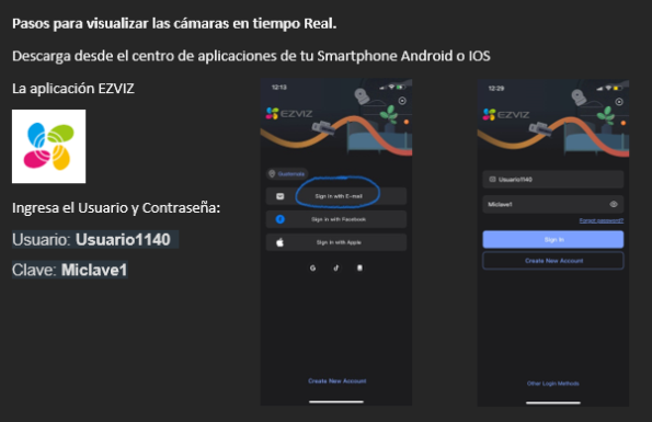 Visualizar Camaras en Linea